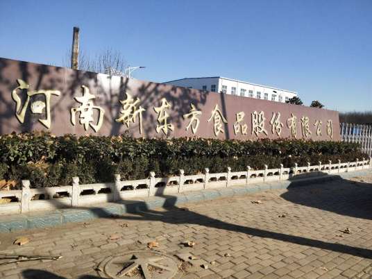 河南新东方食品股份有限公司