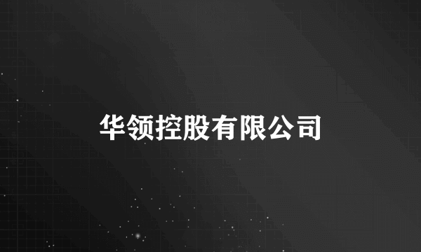 华领控股有限公司