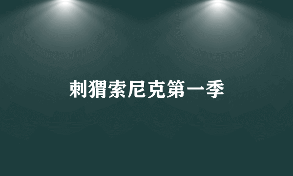 刺猬索尼克第一季