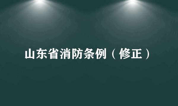 山东省消防条例（修正）