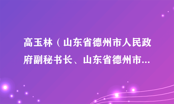 高玉林（山东省德州市人民政府副秘书长、山东省德州市政协副主席）