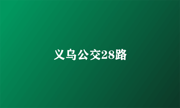 义乌公交28路