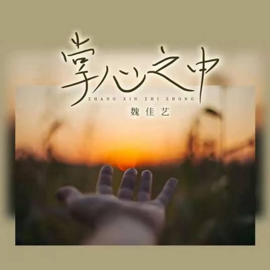 掌心之中（魏佳艺演唱的歌曲）