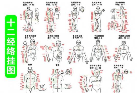 经穴