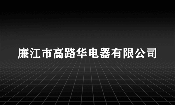 廉江市高路华电器有限公司