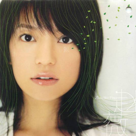 飘（2004年发行的音乐专辑）