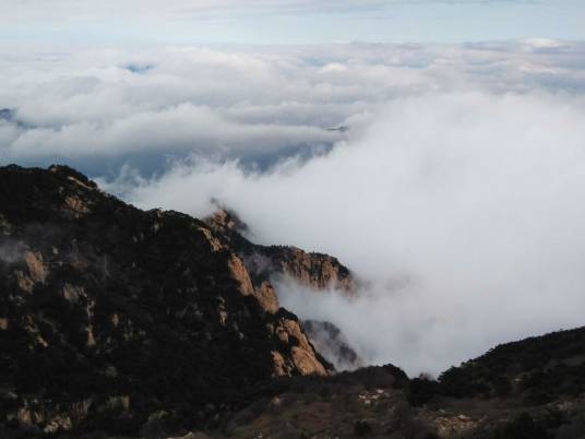 山东泰山国家森林公园