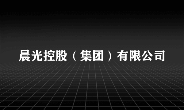 晨光控股（集团）有限公司