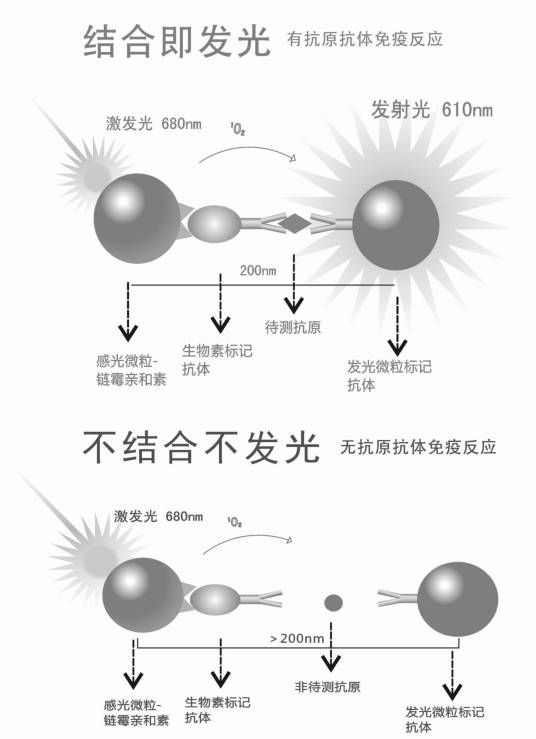 光激化学发光