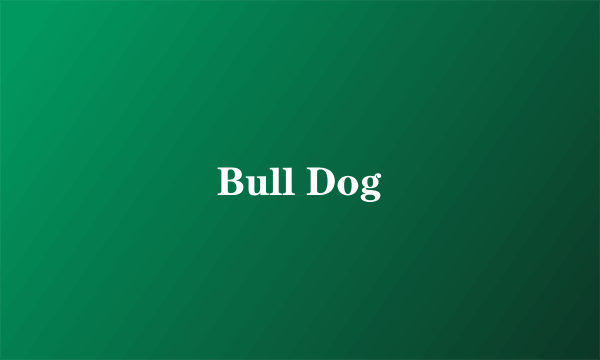 Bull Dog