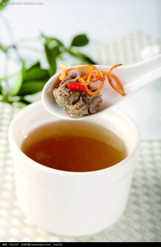 霍氏虫草茶