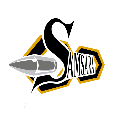 轮回战队（网游小说《全职高手》中荣耀联盟的战队）