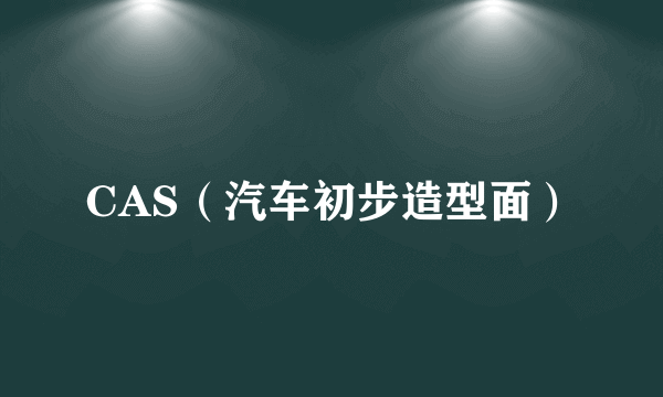 CAS（汽车初步造型面）