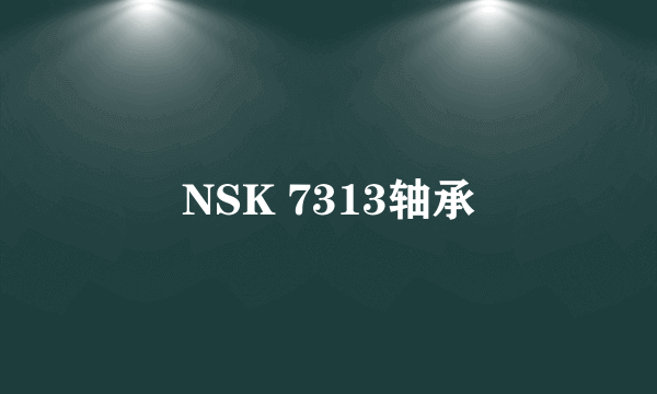 NSK 7313轴承