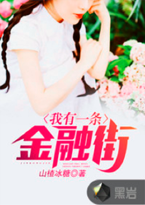 我有一条金融街