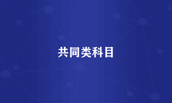 共同类科目
