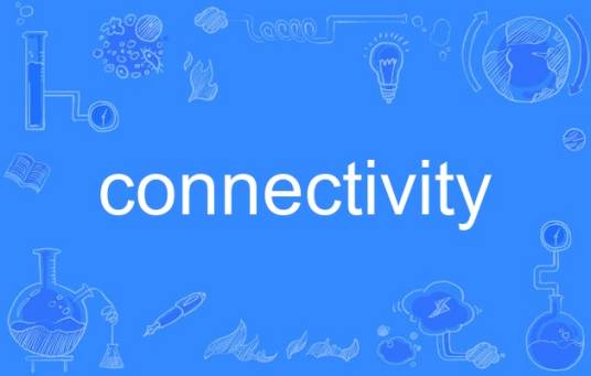 connectivity（英语单词）