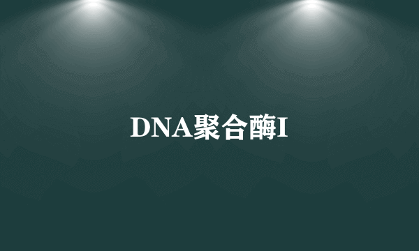 DNA聚合酶I