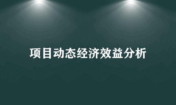 项目动态经济效益分析