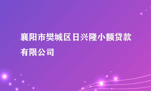 襄阳市樊城区日兴隆小额贷款有限公司