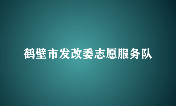 鹤壁市发改委志愿服务队