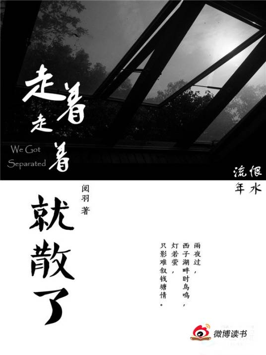 走着走着就散了（阅羽创作小说）