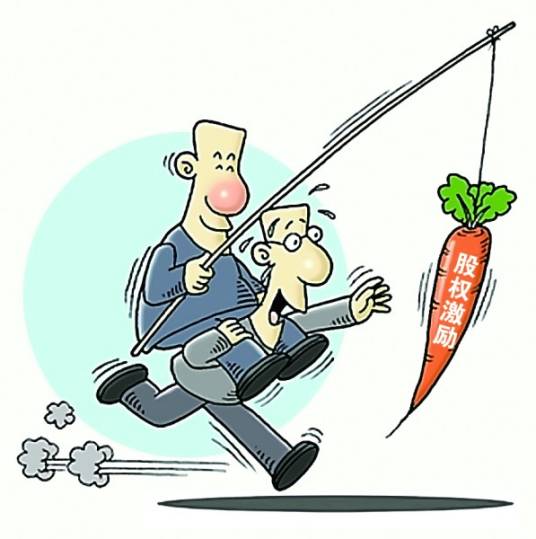 股权激励计划