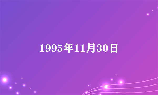 1995年11月30日