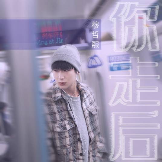 你走后（穆哲熙演唱歌曲）