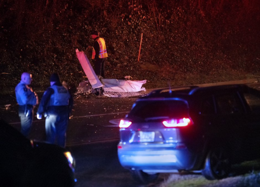 2·26美国佐治亚州客机坠毁事故