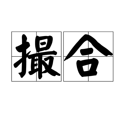 撮合（汉语词语）