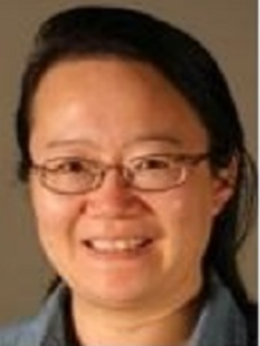 刘玲（乔治亚理工大学副教授）