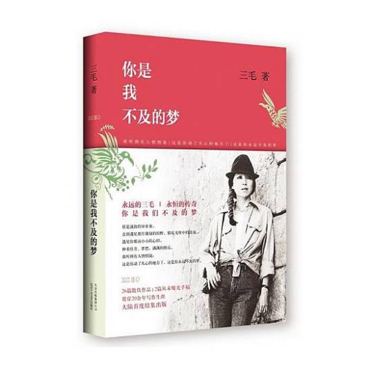 你是我不及的梦