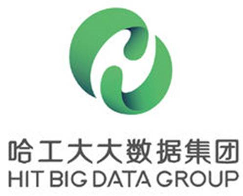 哈工大大数据集团有限公司