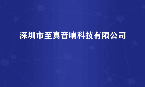 深圳市至真音响科技有限公司
