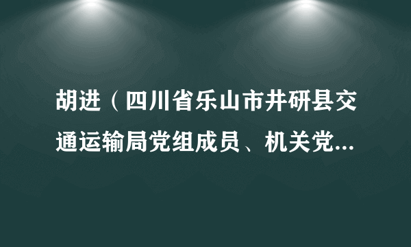 胡进（四川省乐山市井研县交通运输局党组成员、机关党委书记）
