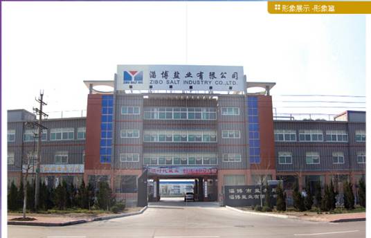 淄博盐业有限公司