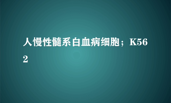 人慢性髓系白血病细胞；K562