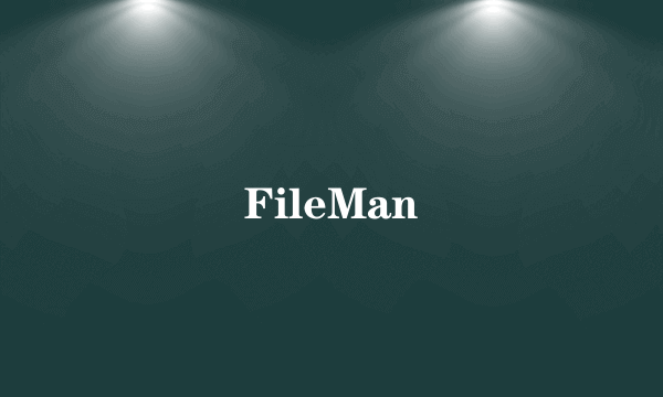 FileMan