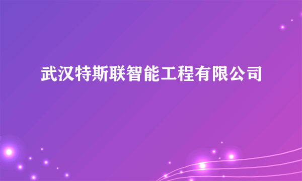 武汉特斯联智能工程有限公司