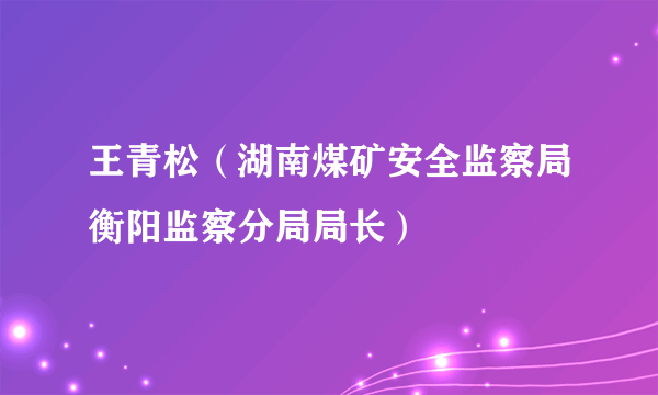王青松（湖南煤矿安全监察局衡阳监察分局局长）