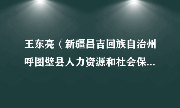 王东亮（新疆昌吉回族自治州呼图壁县人力资源和社会保障局党组成员、副局长、三级主任科员）