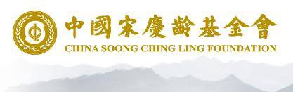 中国宋庆龄基金会基金管理办法