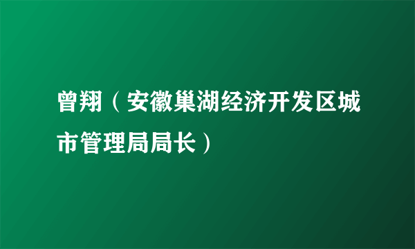 曾翔（安徽巢湖经济开发区城市管理局局长）