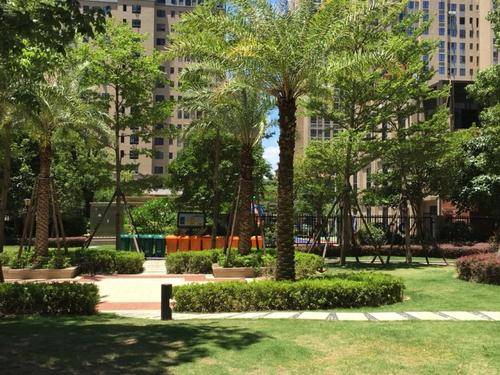 海上五月花三期