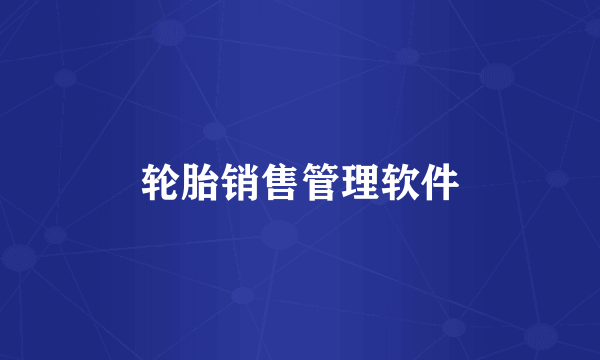 轮胎销售管理软件