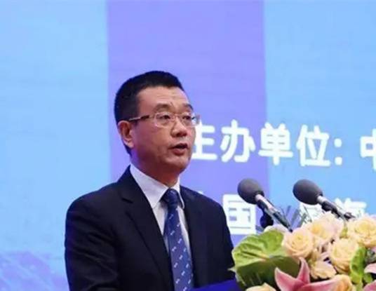 刘焕明（比亚迪股份副总裁）