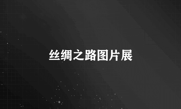 丝绸之路图片展