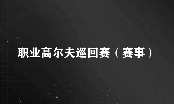 职业高尔夫巡回赛（赛事）