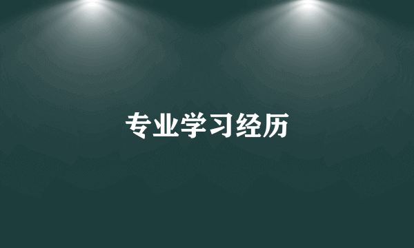 专业学习经历